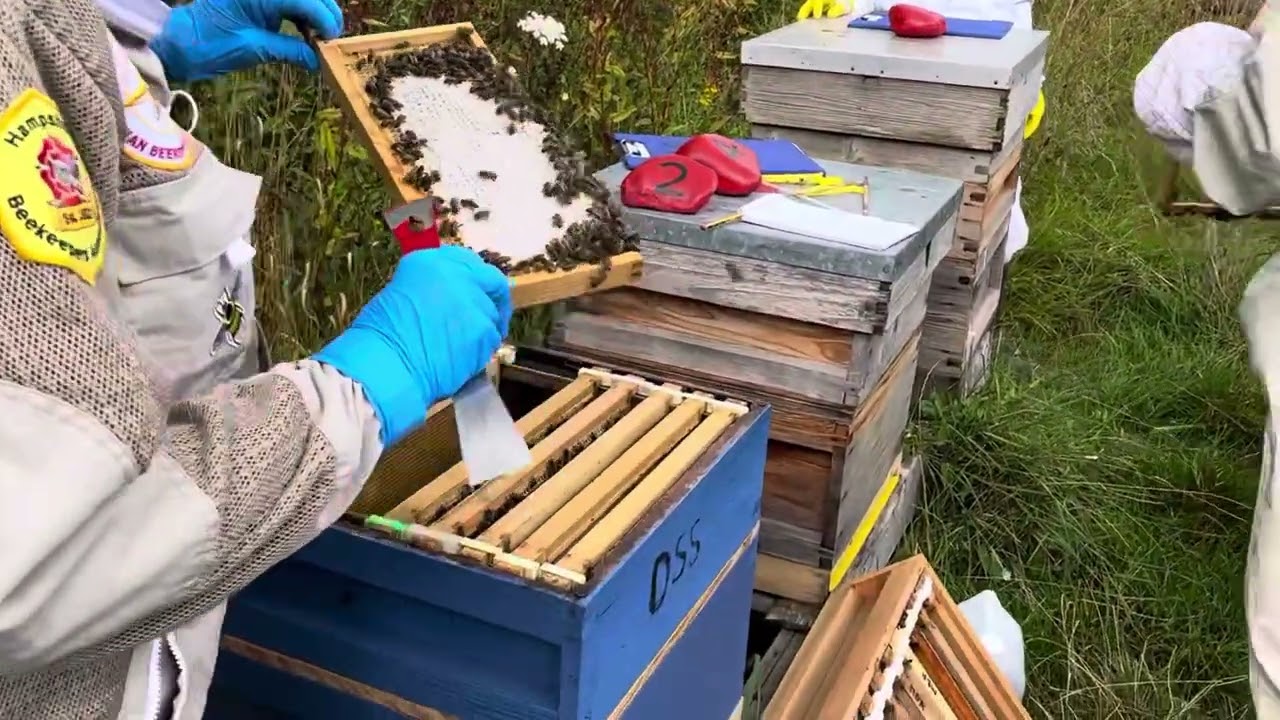 Meridian Beekeepers&rsquo; Apiary Meeting, 29 July 2023, 2