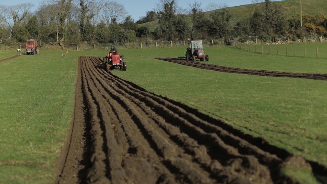 Traaue yn Aght Manninagh