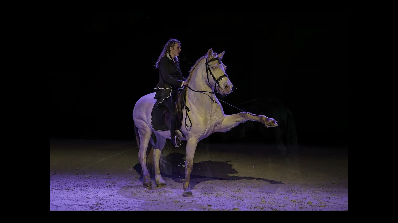 Les spectacles Equestres avec STUDIO21 GérarDumas photographe