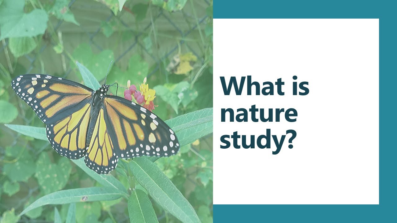 What is nature study?