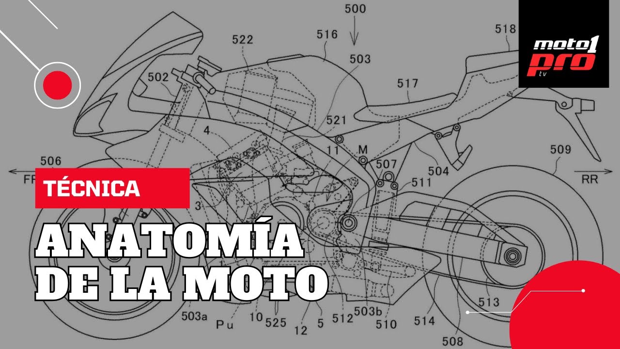 Técnica: Anatomía de la moto