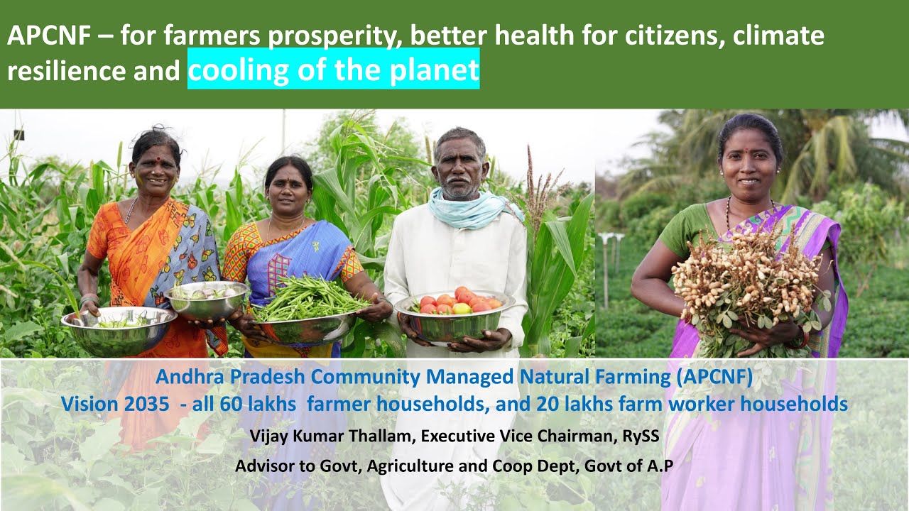T Vijay Kumar, IAS(Rtd) Executive vice Chairman RySS I Presentation for DAOs & DPMs of AP Agri Dept