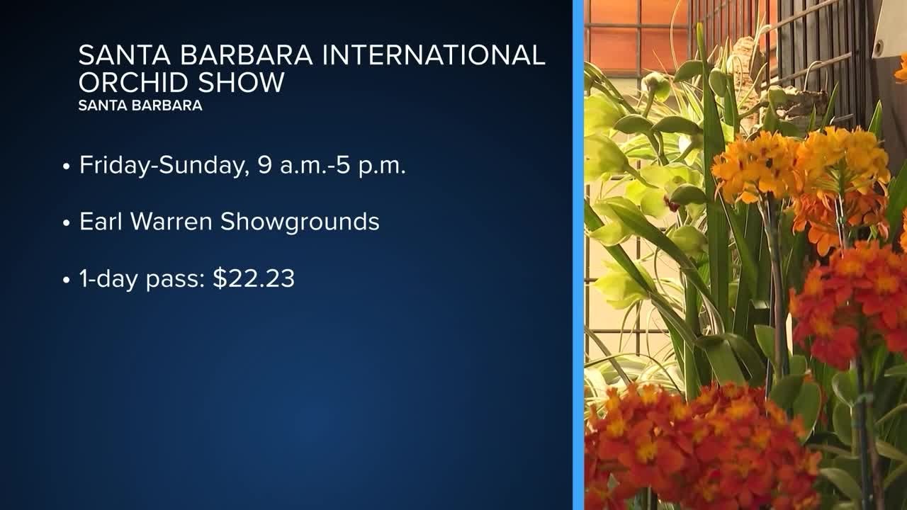 Stargazing, bargain hunting, wine tasting and more highlight Central Coast weekend