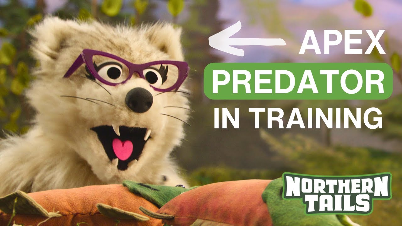 Wolves teach their pups how to hunt | Northern Tails, Episode 3