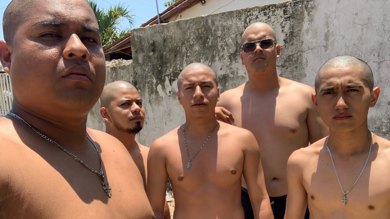 La nueva banda de los COTONETES
