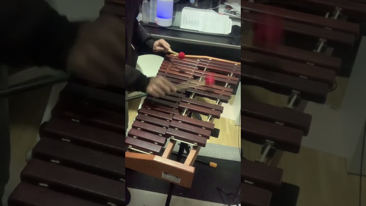 Out there from The Hunchback Of Notre Dame / Alan Menken on xylophone ノートルダムの鐘より陽ざしの中へ