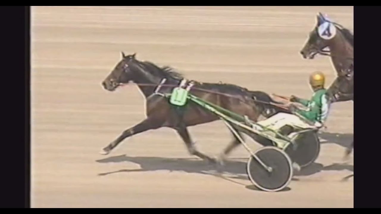 TV-sändningen från Elitloppet på Solvalla 2006.