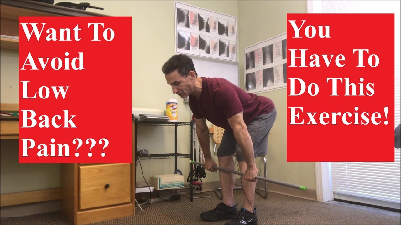 Posterior Chain Muscles and How To Strengthen Them