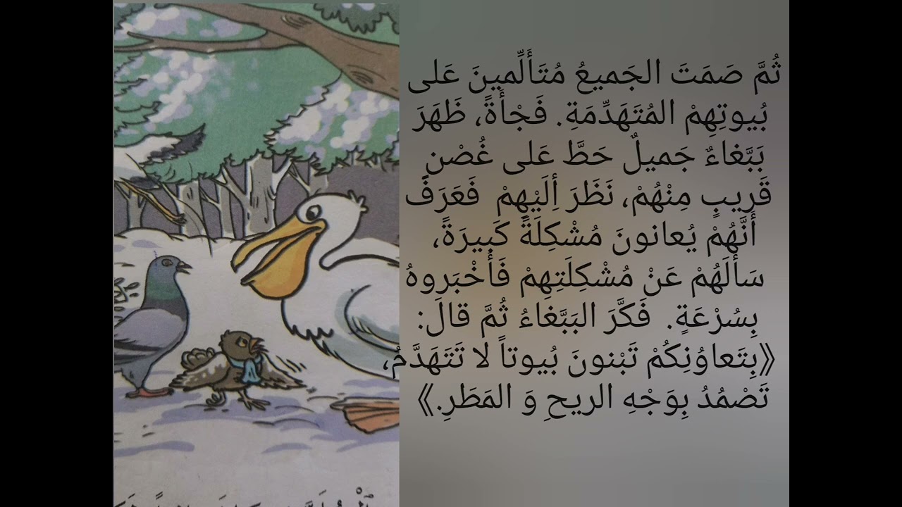 حكاية نصيحة الببغاء