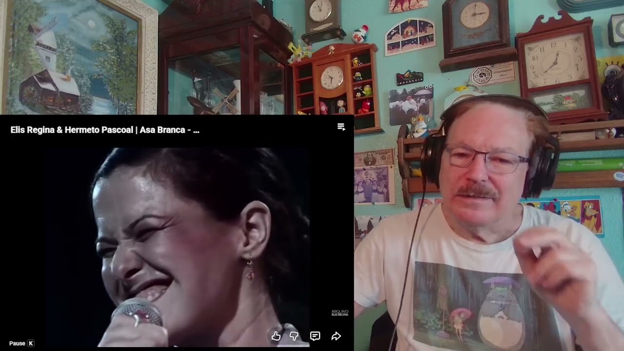 Elis Regina & Hermeto Pascoal - Asa Branca (White Wing - or White Bird), A Layman's Reaction