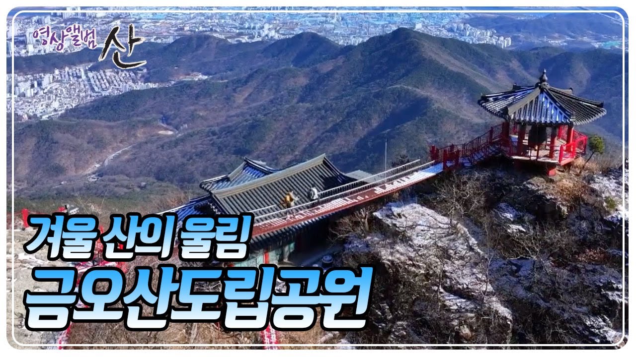 겨울이 드러내는 바위산의 단단한 아름다움, 금오산도립공원으로의 여정 [영상앨범 산] KBS 260125 방송