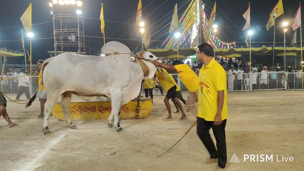 చిలకలూరిపేట టౌన్||సీనియర్స్ విభాగం 15వ జత సయ్యద్ కలాం భాష గారు 23-1-2026💥💥