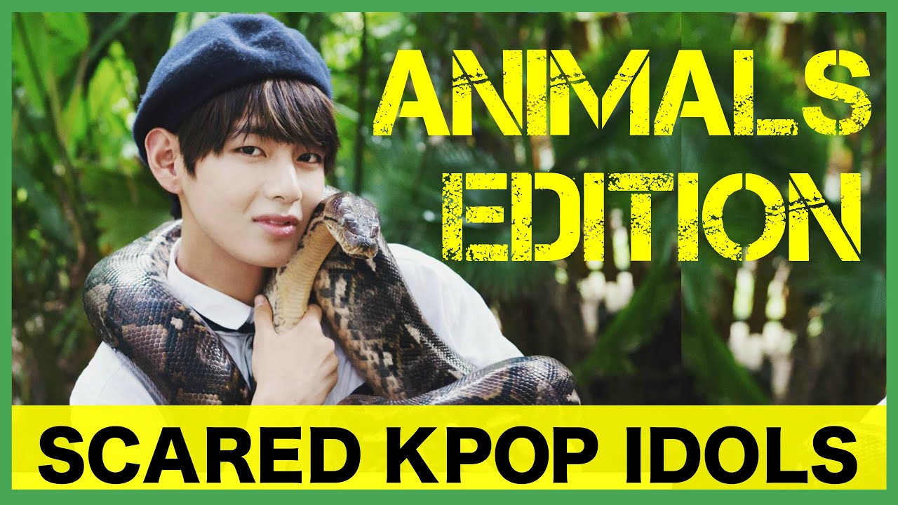 Scared K-Pop Idols: Animals Edition 1