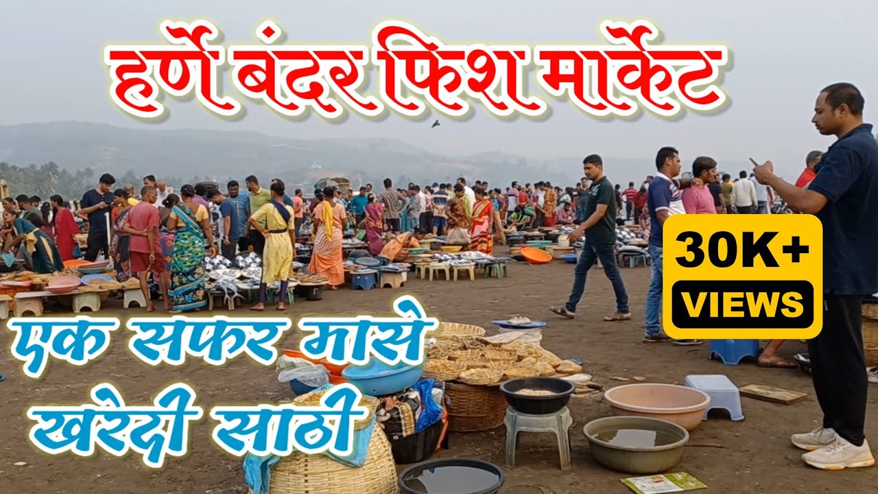 Harne Bandar Famous Fish Market !  कोकणातील प्रसिद्ध हर्णे बंदर फिश मार्केट.