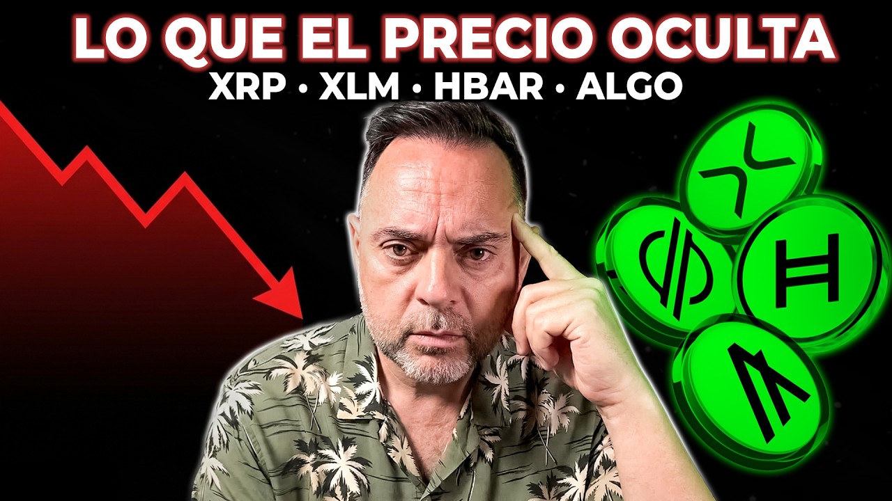 XRP, XLM, HBAR y ALGO: Lo que el Precio Oculta sobre ISO 20022