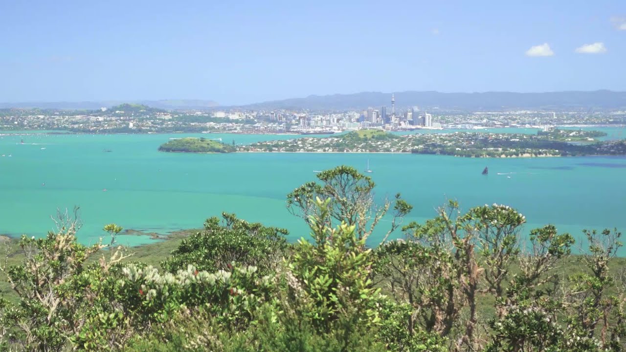 Green Prescription 2020 Rangitoto Walk