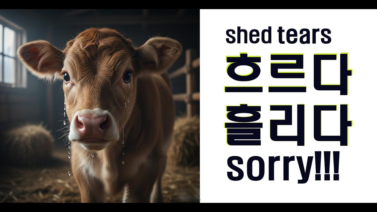 흐르다 흘리다