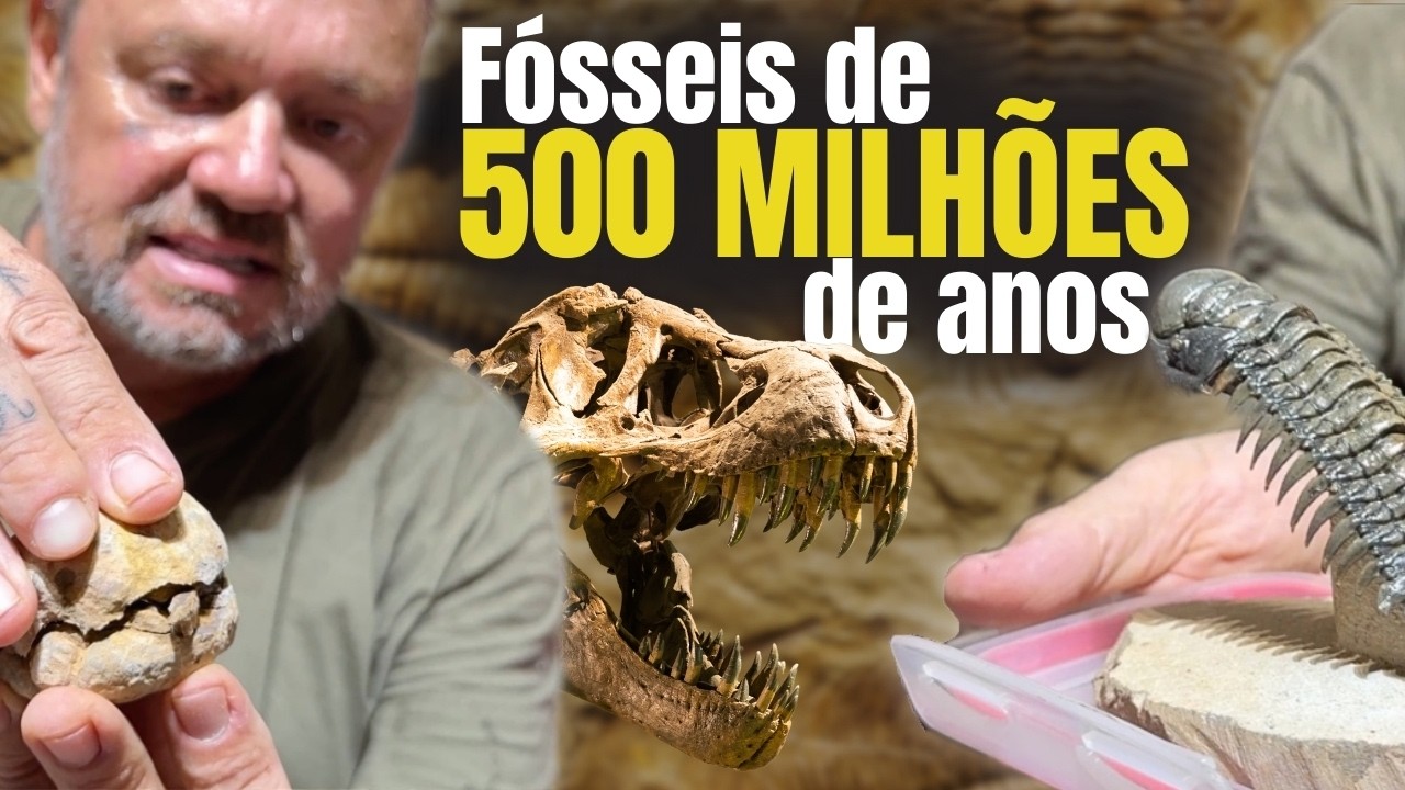 500 MILHÕES DE ANOS DE HISTÓRIA: O QUE EXISTIU ANTES DOS DINOSSAUROS?