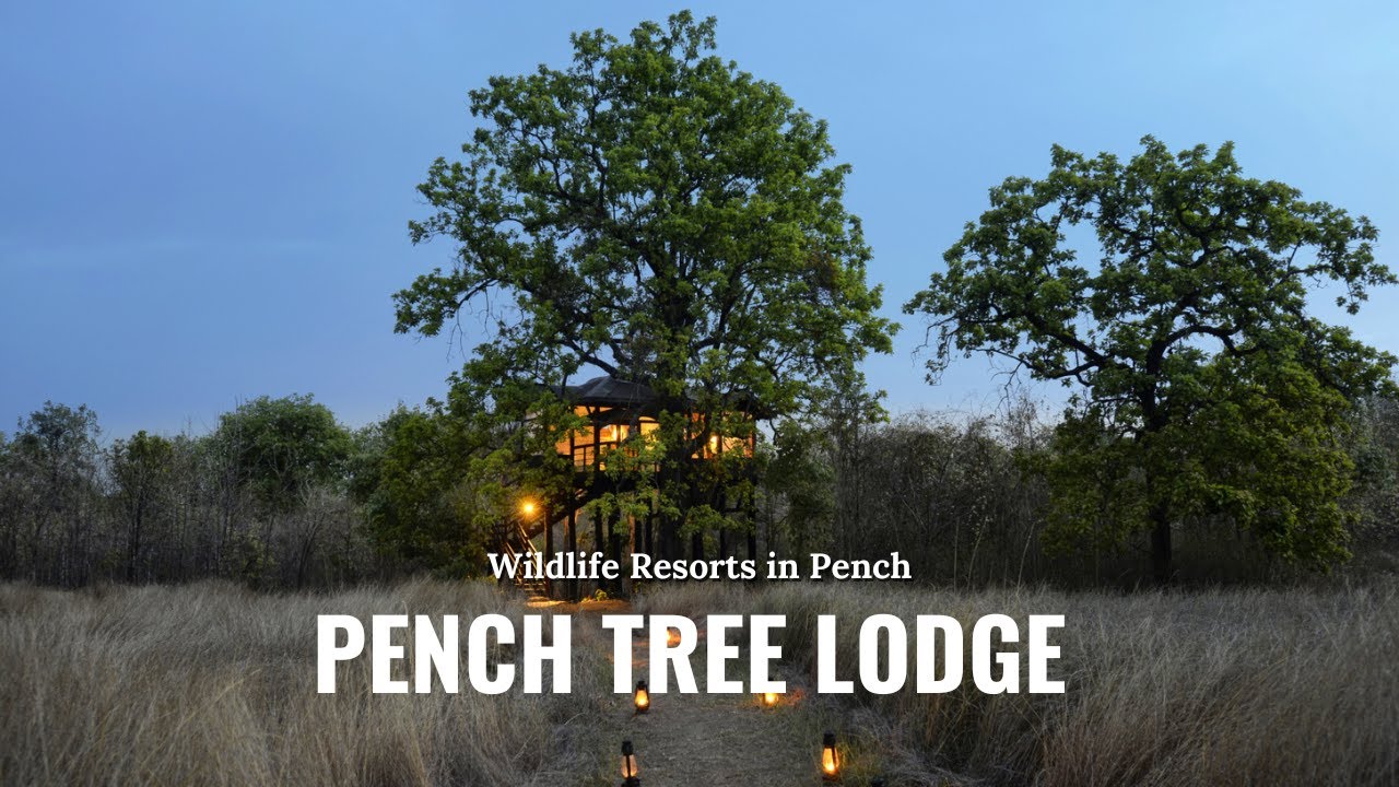 Wildlife Resorts in Pench | Hotels In Pench | Pench Tree Lodge