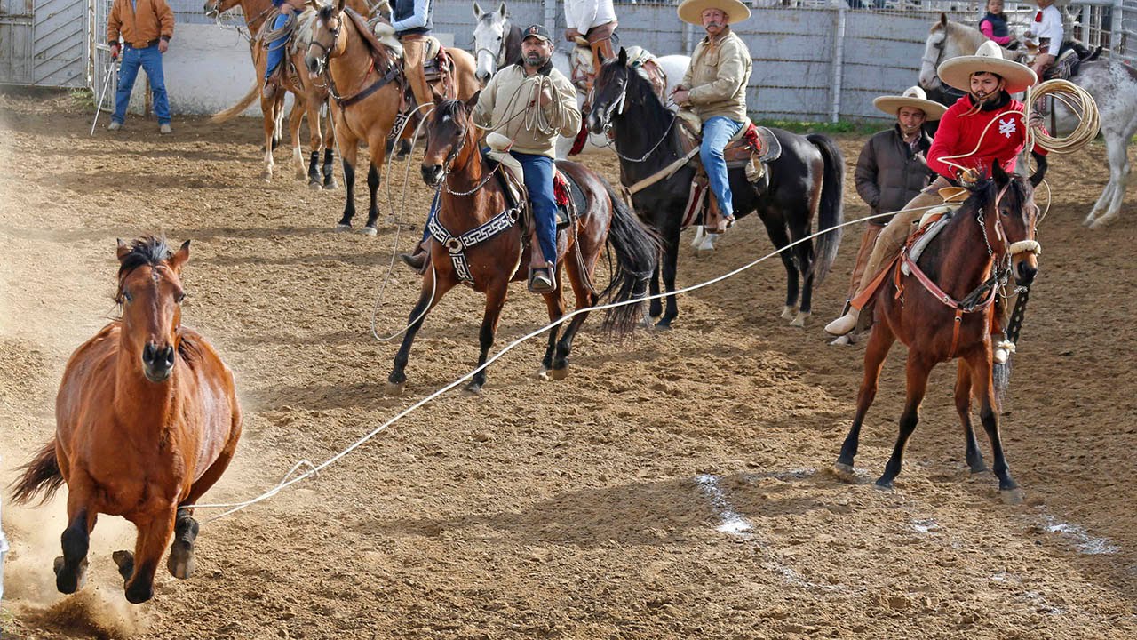 Charros in Texas thrive on tradition, family, competition