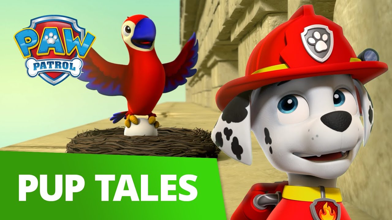 Pet Parrot Rescue with Marshall! 🦜 - PAW Patrol Rescue Episode - Cartoons for Kids