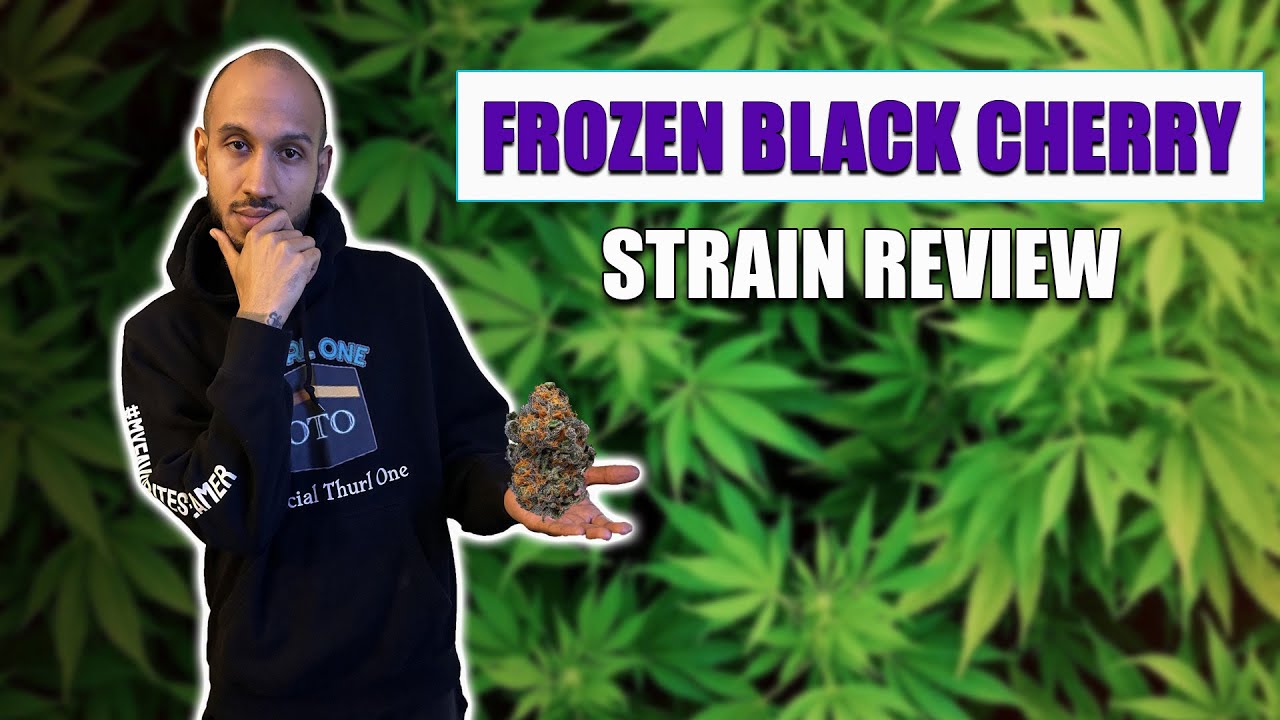 Frozen Black Cherry 🍒 Weed Review | NJ Cannabis Strain Breakdown