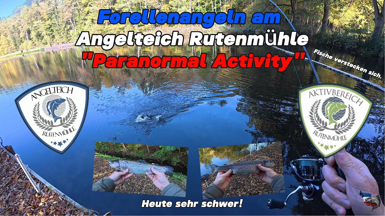 Forellenangeln am Angelteich Rutenmühle Paranormal Activity #angeln #trout #troutfishing #forelle