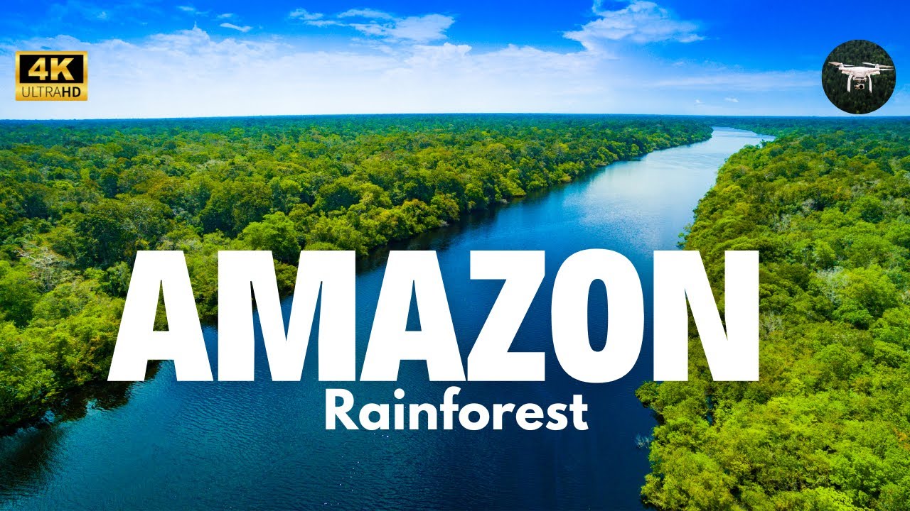Amazon Rainforest Tour Video 4K | The World&rsquo;s Largest Tropical Rainforest