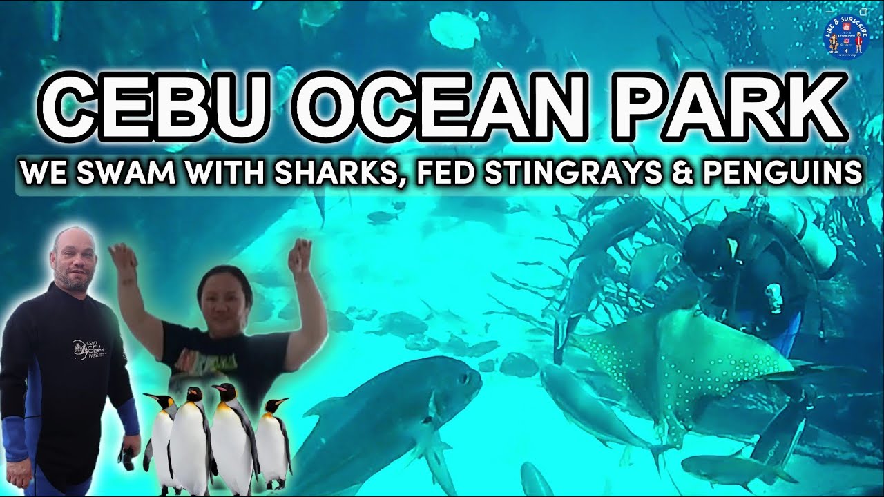 Cebu OCEAN PARK Adventure: Sharks & Sting Rays + Penguins and MORE!