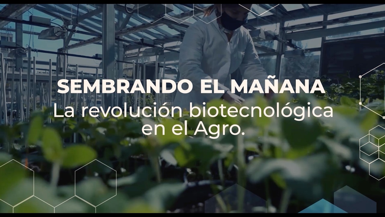 Documental Sembrando el mañana - Bíotecnología en el agro - Fundación Balseiro - Migración de ideas