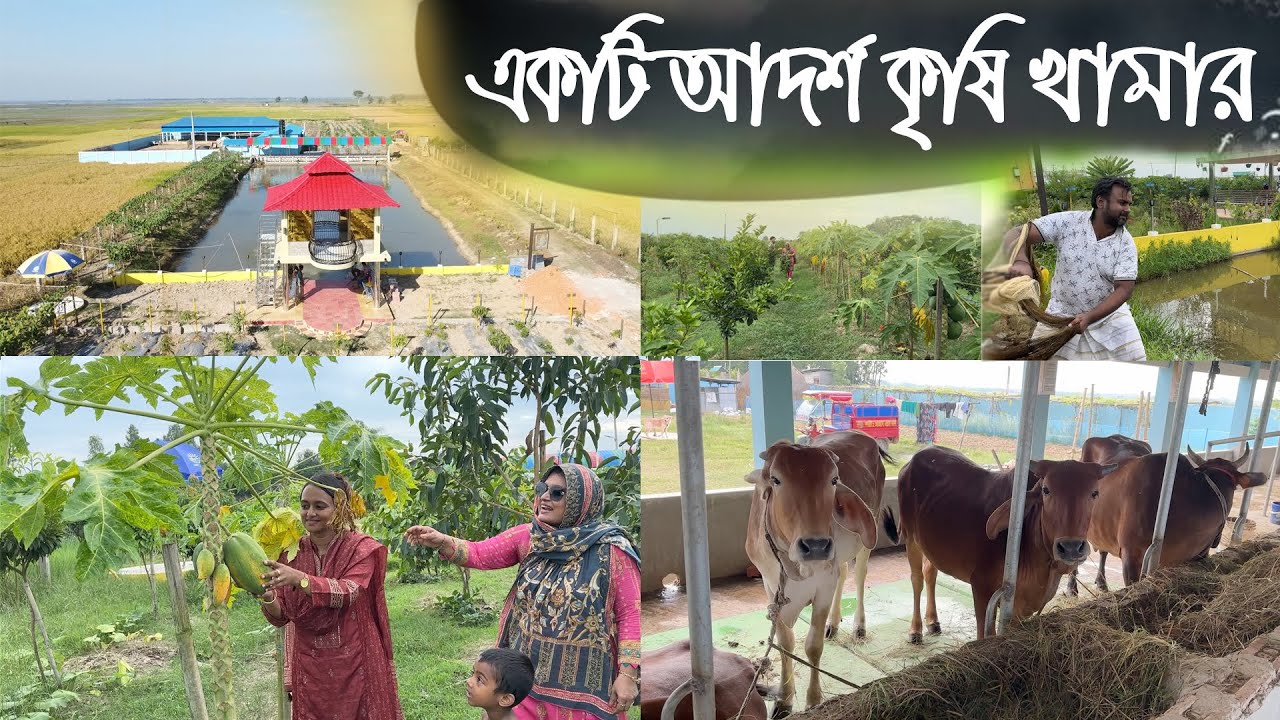 শ্রীমঙ্গল একটি আদর্শ কৃষি খামার। কাজী এন্ড আজাদ এগ্রো ফার্ম
