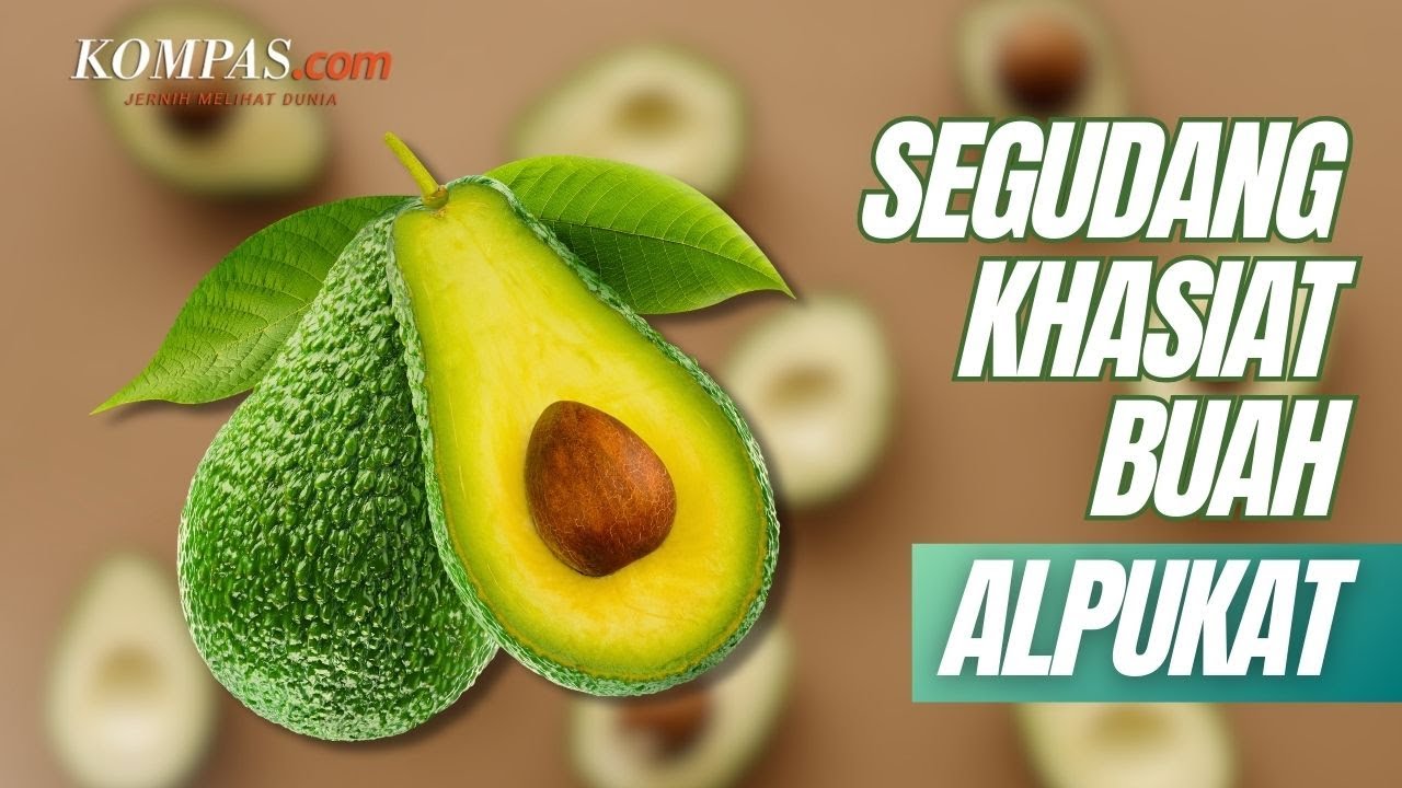10 Manfaat Buah Alpukat untuk Kesehatan Tubuh