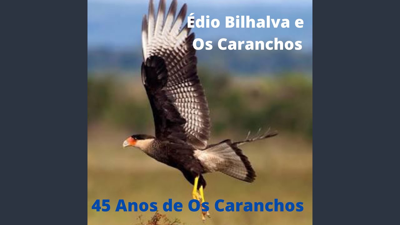 Adeus Querência