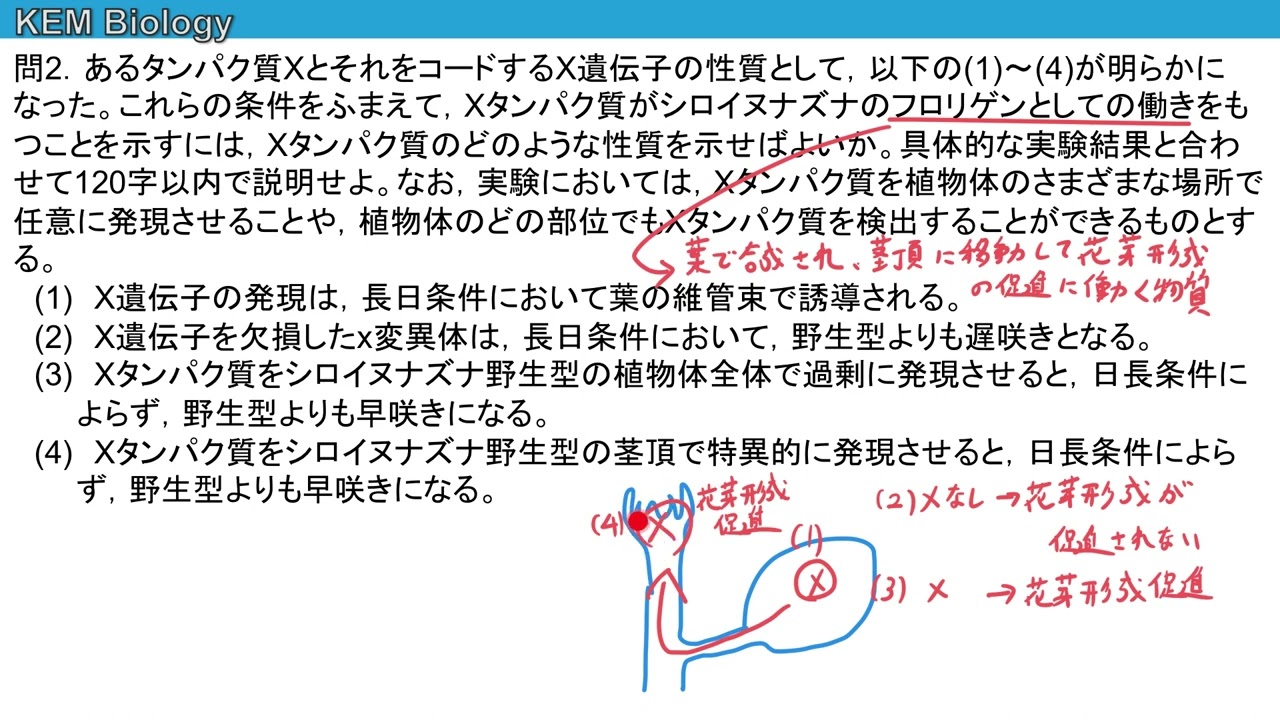 高校生物「フロリゲンのはたらき（セミナー156）」
