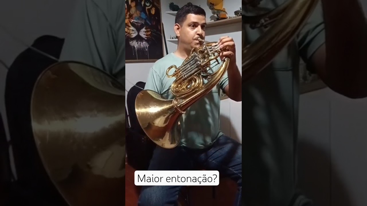 Qual a Trompa com maior entona&ccedil;&atilde;o do mundo? #shorts #alexander  #frenchhorn #trompa