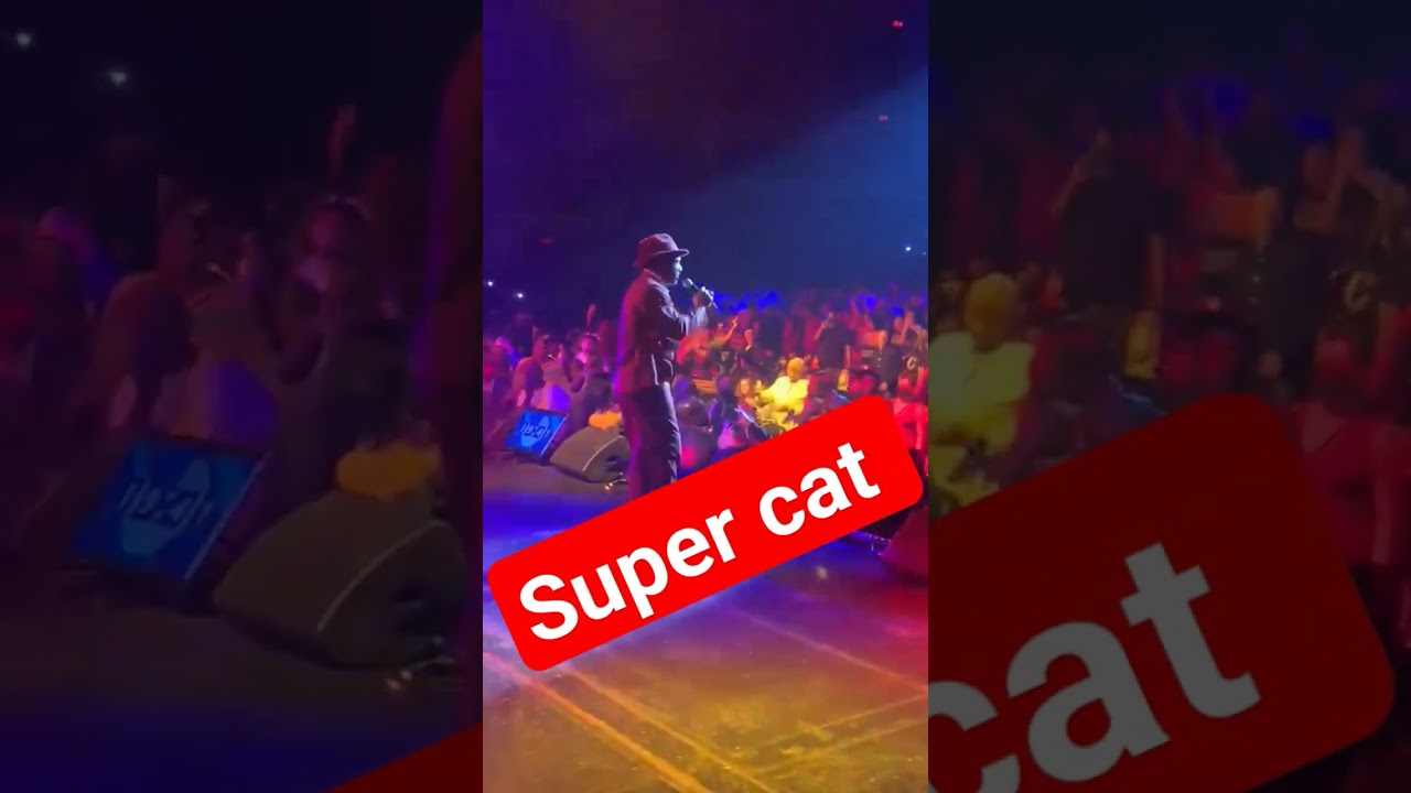 supercat#reggae #hiphop #dondada #jamaica #trending #reggaemusic #latinreggaeton #teachdem