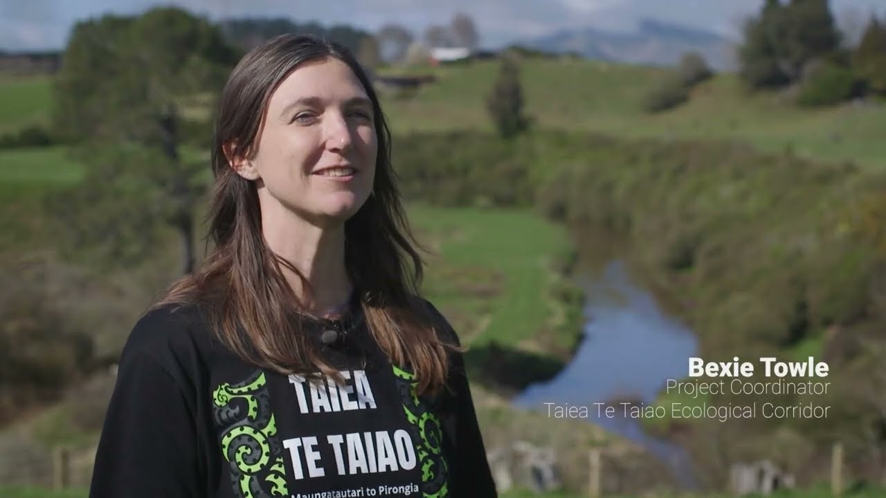 Taiea te Taiao Maungatautari to Pirongia Ecological Corridor Spotlight