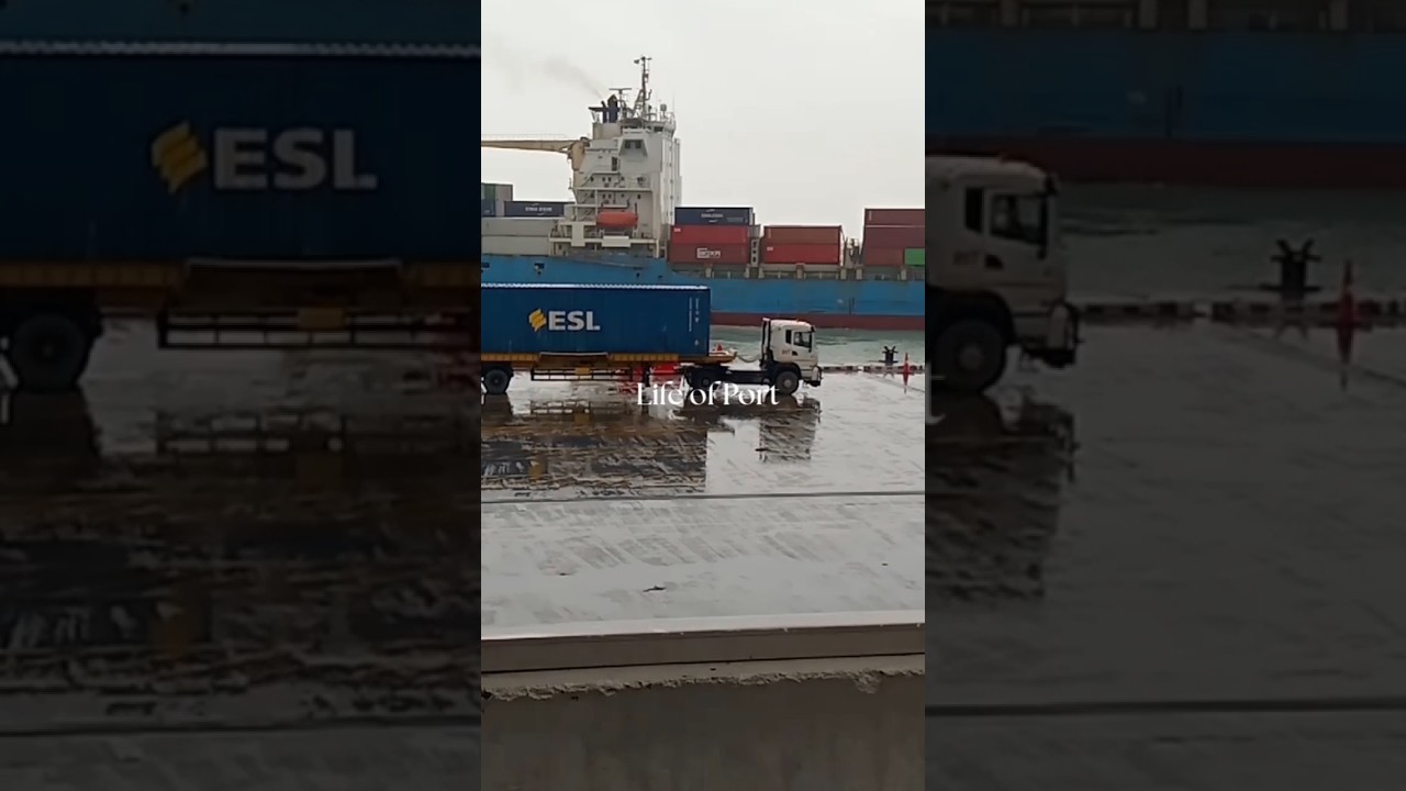 Zhong Hang Sheng Vessel | कंटेनर शिप की पूरी जानकारी | Shipping Documentary 