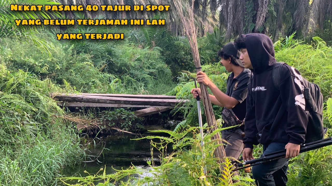Pasang 40 tajur di spot baru di kira gak ada ikanya ternyata ini lah sarangnya ikan baung 