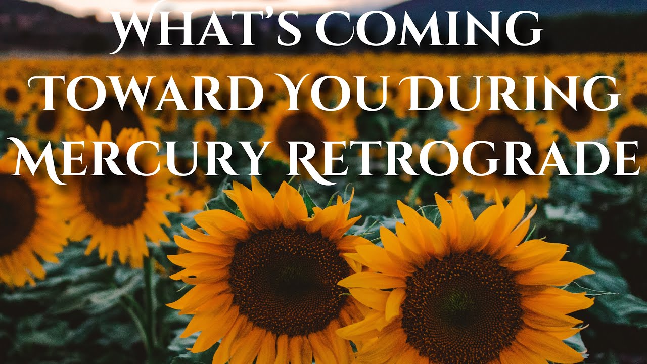 ✨Taurus✨ New Love &New Money Coming In.. Old Lover Will Return