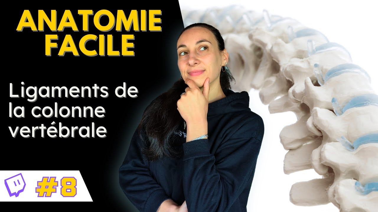 Comprendre l'anatomie: les ligaments de la colonne vertébrale (rachis)