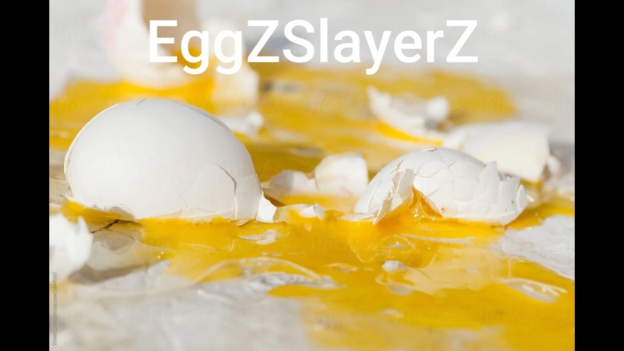 EggZSlayerZ downfall