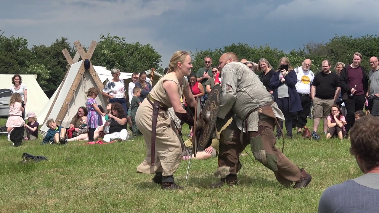 Vikingerne i aktion
