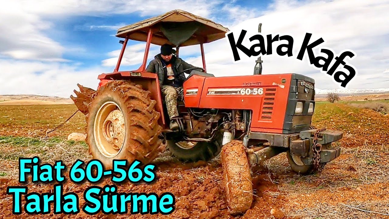 Fiat 60-56s İle Tarla Sürme (Kara Kafa ) Tutulan Model.