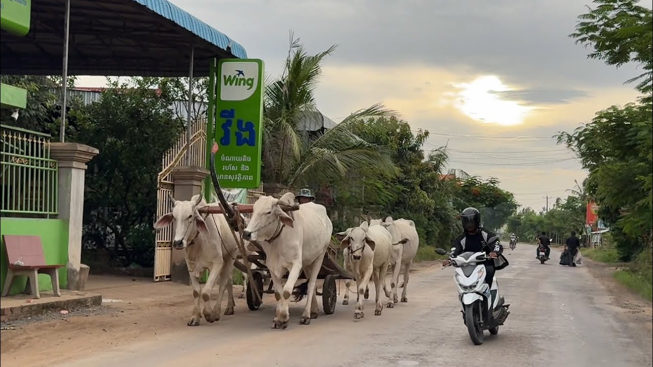 One Day Trip To Kampong Cham Province, Cambodia