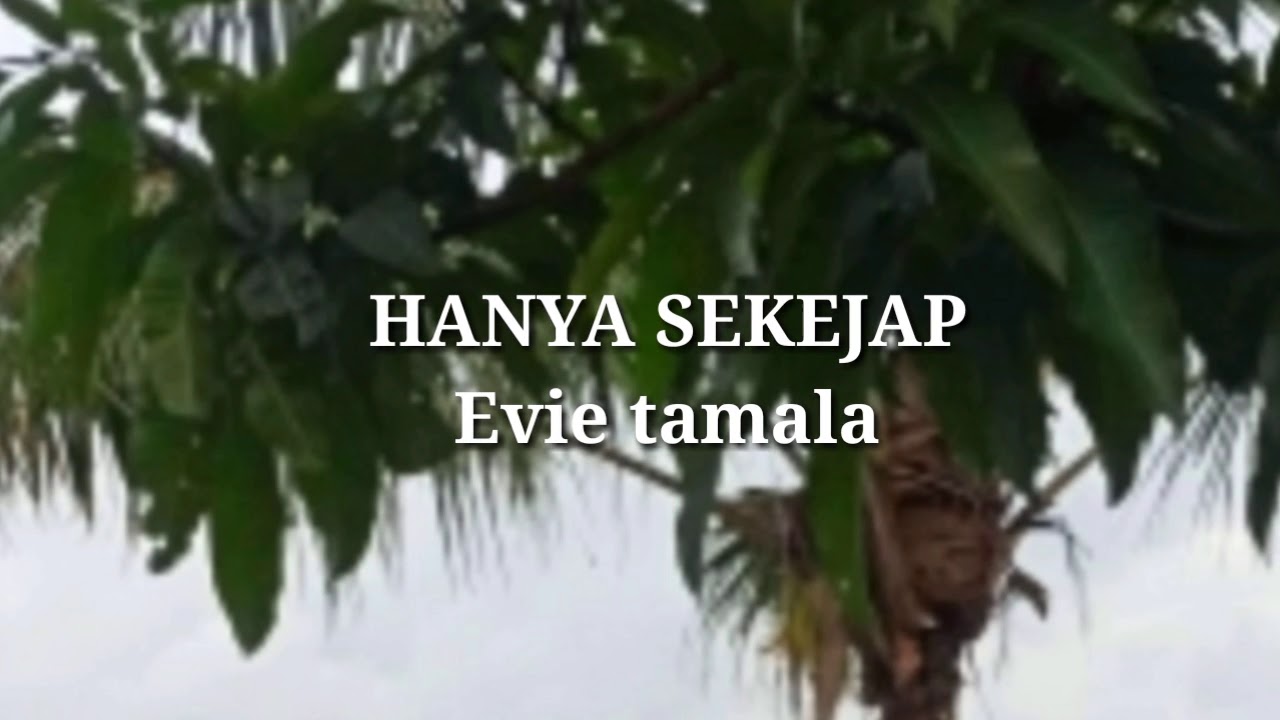 Evie Tamala HANYA SEKEJAP