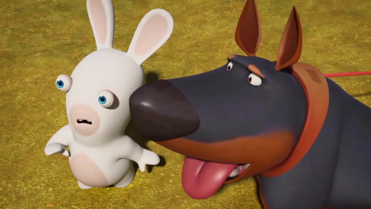 Rabbids Invasion 2020 - Rabbids Invasion New Episode HD #RabbidsInvasion