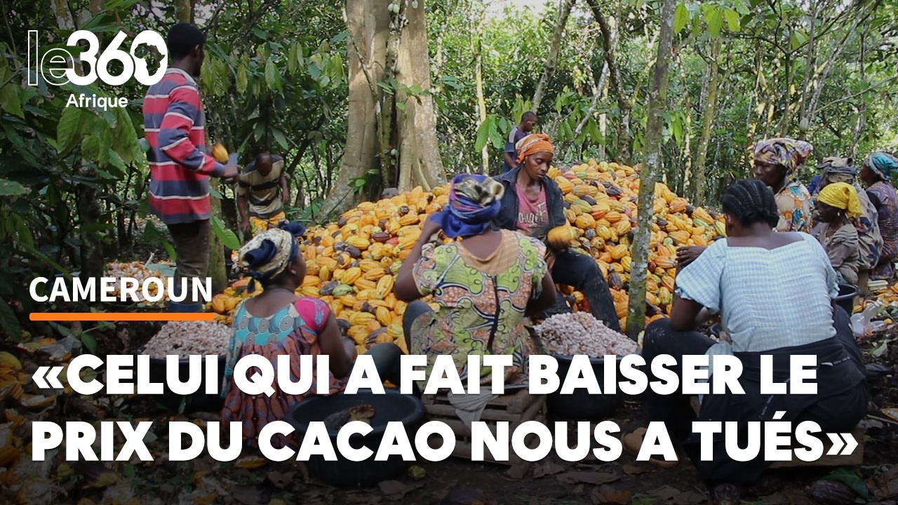 Cameroun : les cultivateurs vent debout contre le ministère du Commerce