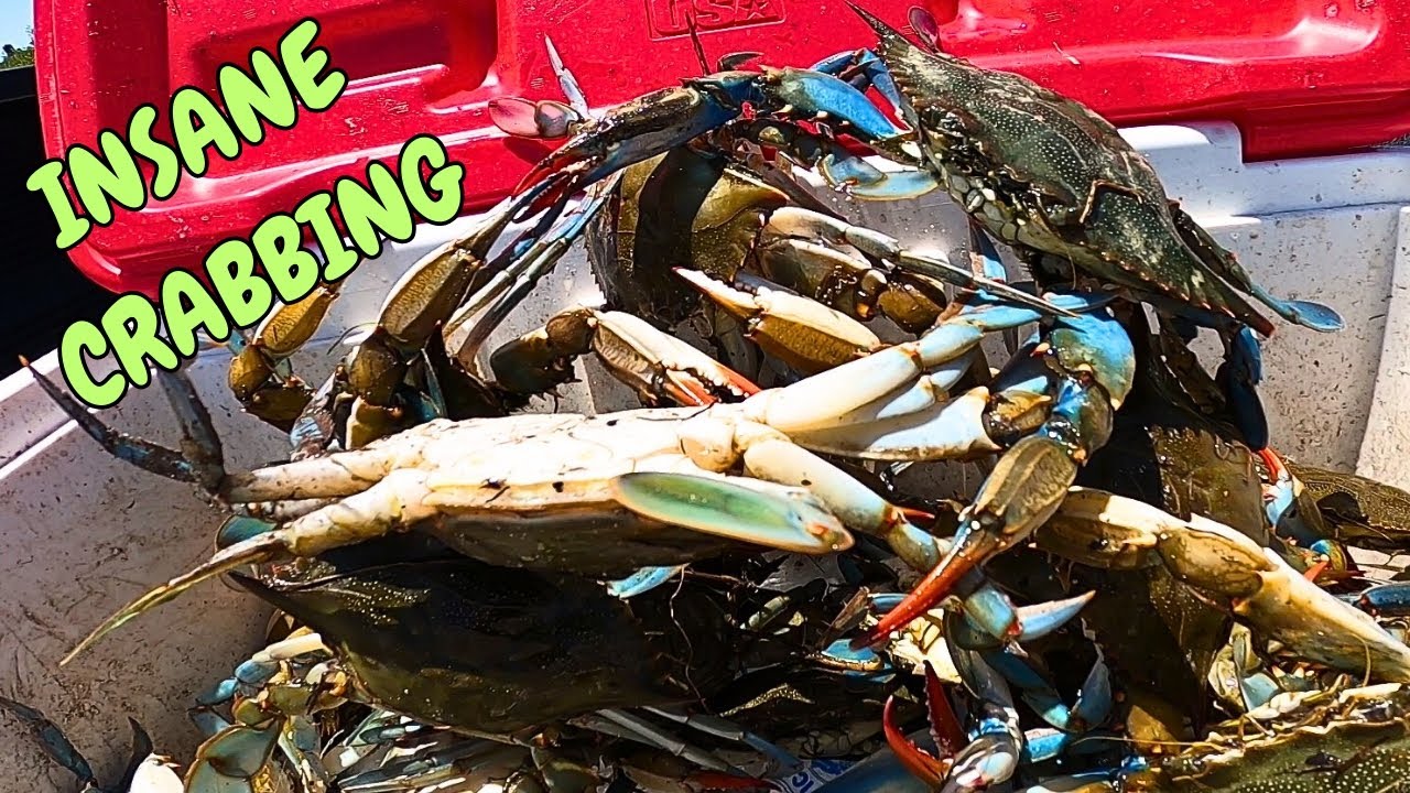 MOST INSAIN CRABBING I HAVE EVER DONE !!!!