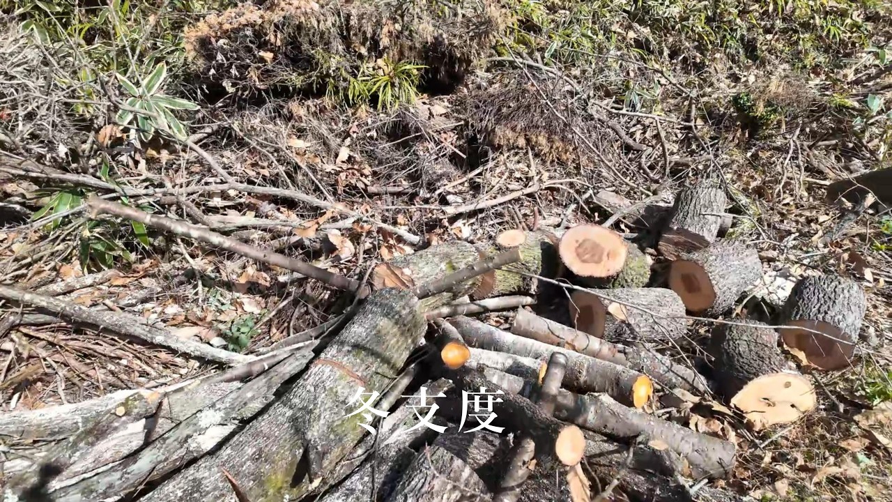 火のある暮らし　冬支度　薪集め